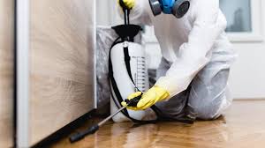 Real Estate Pest Inspections in Palm Coast, FL